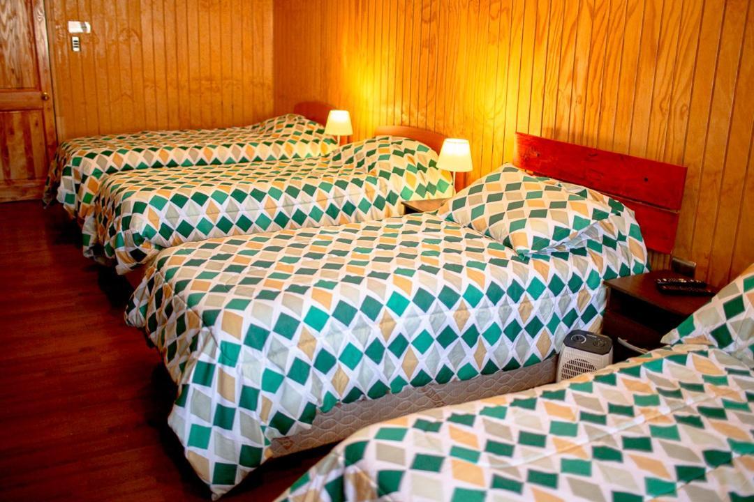 Roble Austral Hostal 科伊艾科 外观 照片